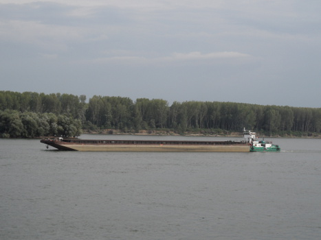 Vidin Donau 1