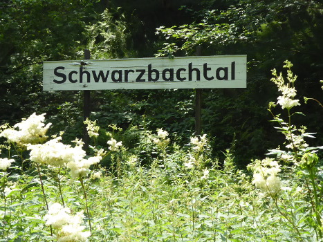 Bahntrassen-Radweg Schwarzbachtal 12