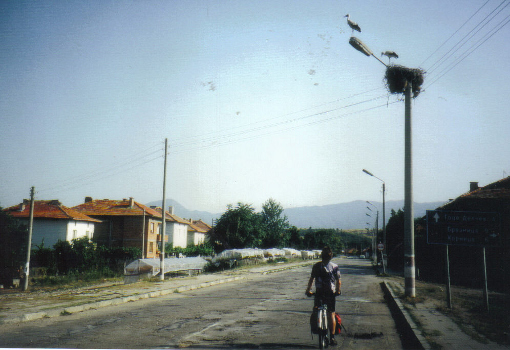 Bulgarien Storch
