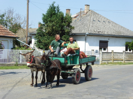 Ungarn Pferdekutsche
