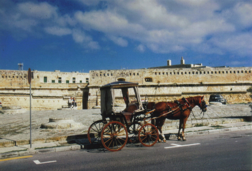 Malta Kutsche 1