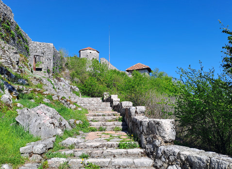 Montenegro 51