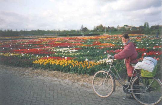 Radwandern Niederlande
