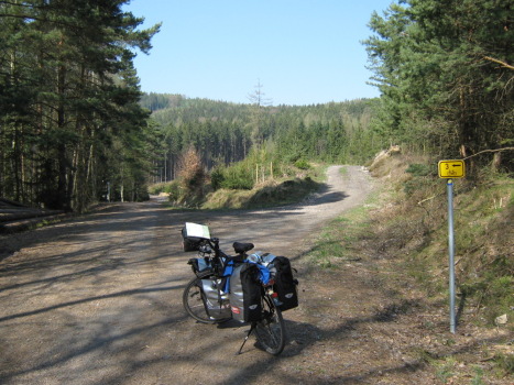 Radwegweiser Route 3 Wald