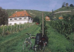 Sächsische Weinstrasse